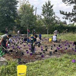 ​September 2024 - Community Planting